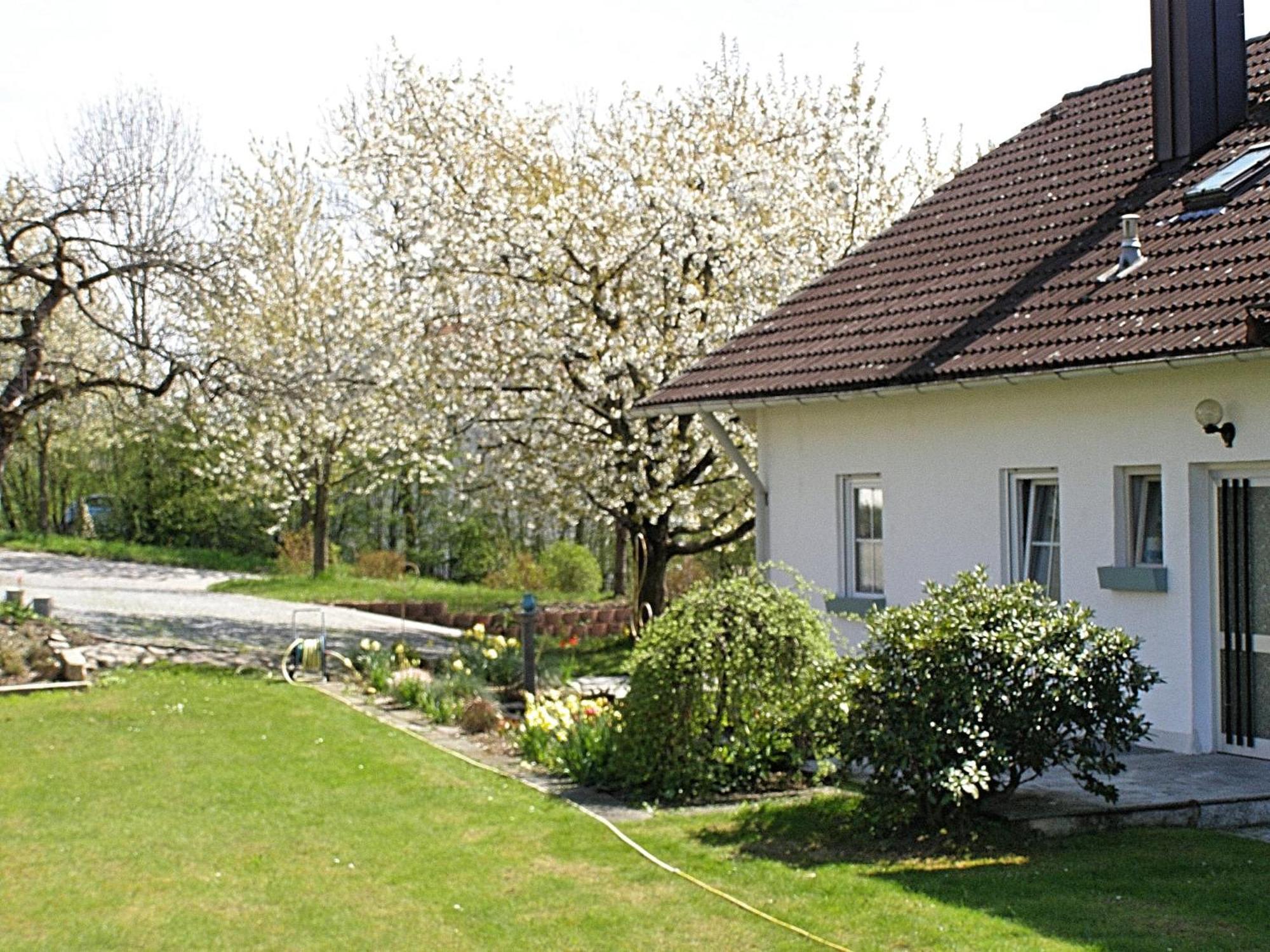 Welcoming Chalet Near Forest In รอห์นบาค ภายนอก รูปภาพ